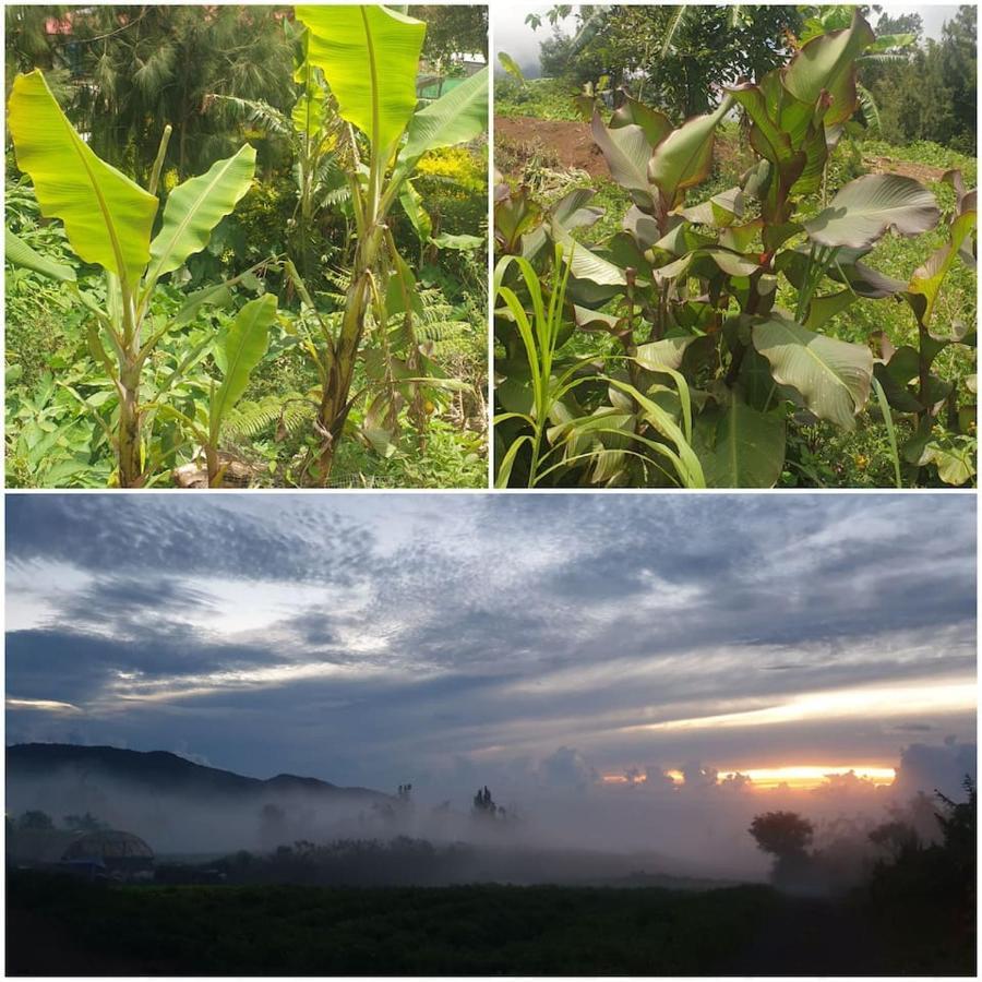 בית הארחה לה פוססיון 	Au Coeur Des Plantations מראה חיצוני תמונה