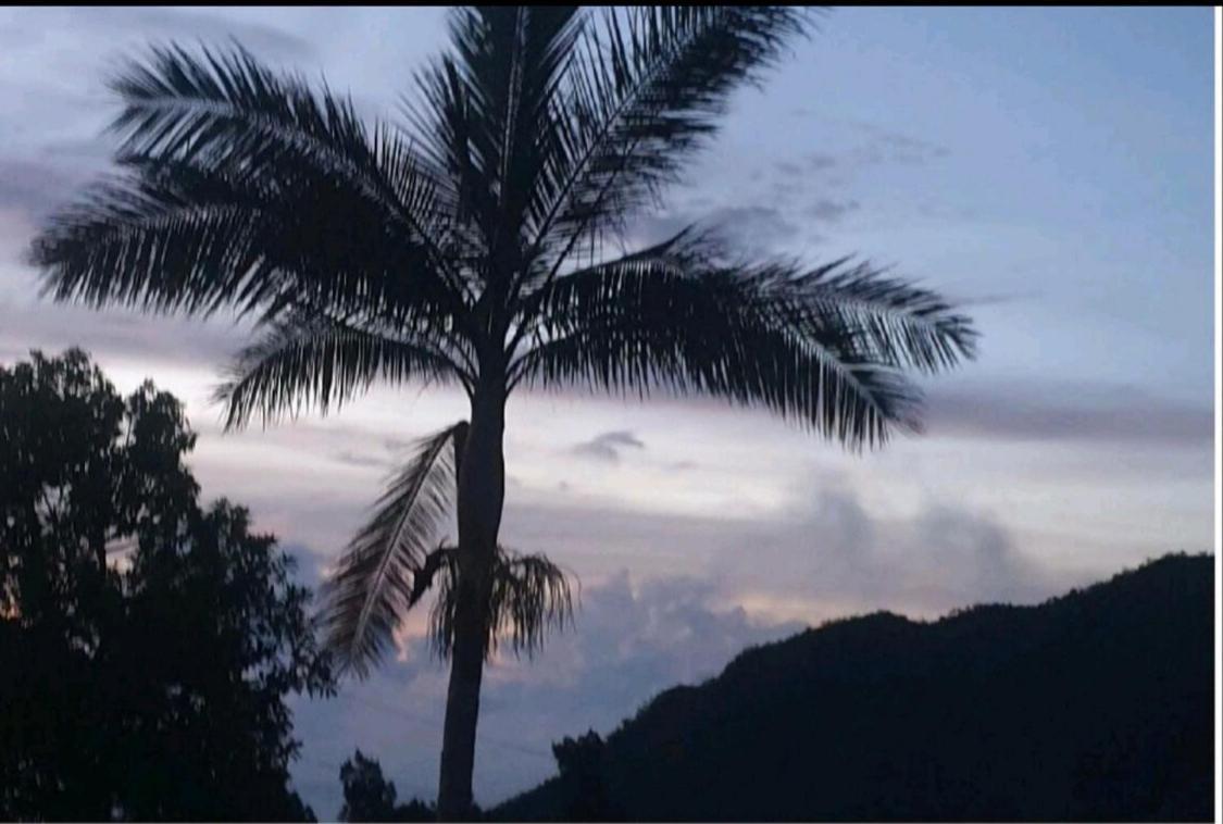בית הארחה לה פוססיון 	Au Coeur Des Plantations מראה חיצוני תמונה