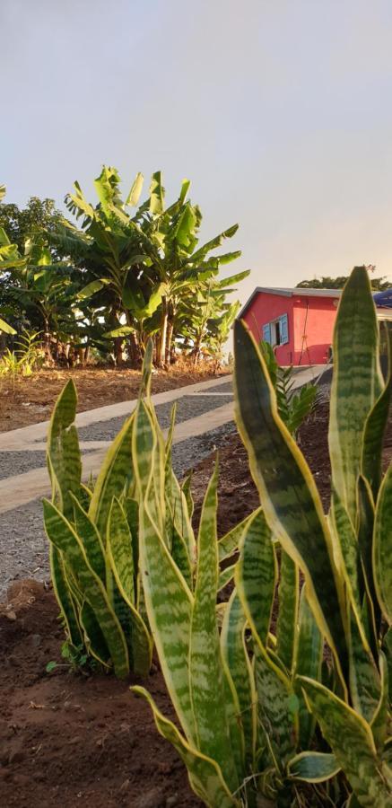 בית הארחה לה פוססיון 	Au Coeur Des Plantations מראה חיצוני תמונה
