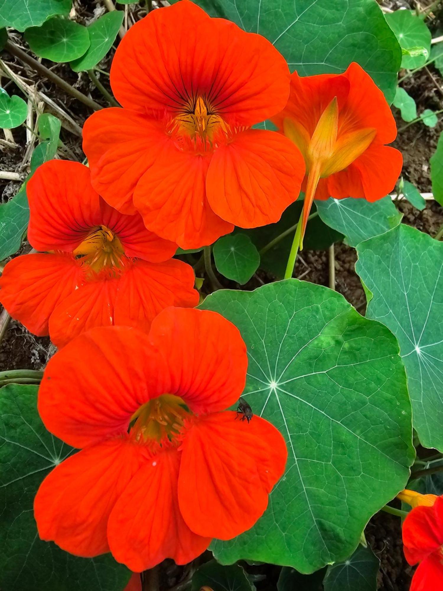 בית הארחה לה פוססיון 	Au Coeur Des Plantations מראה חיצוני תמונה