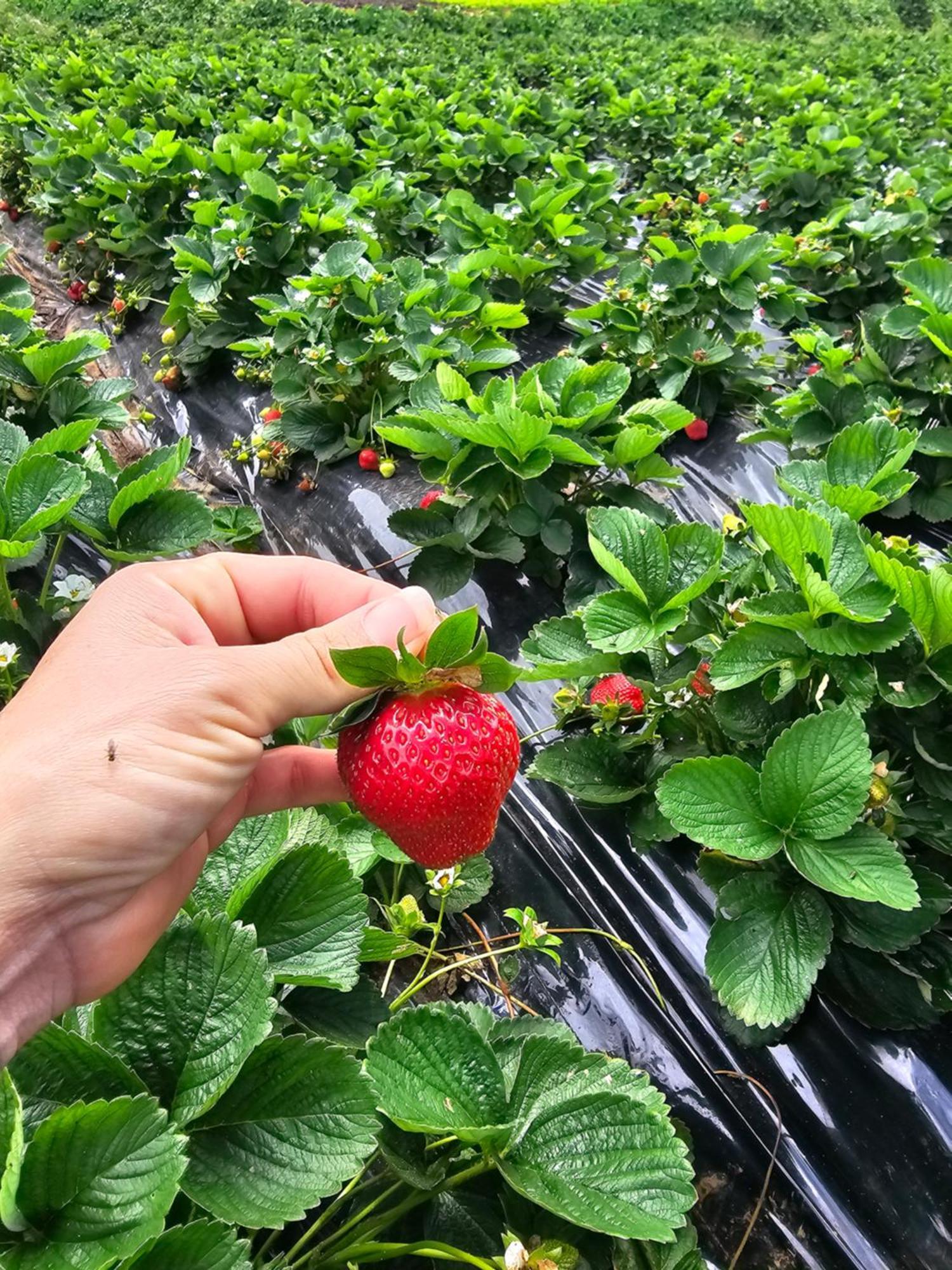 בית הארחה לה פוססיון 	Au Coeur Des Plantations מראה חיצוני תמונה